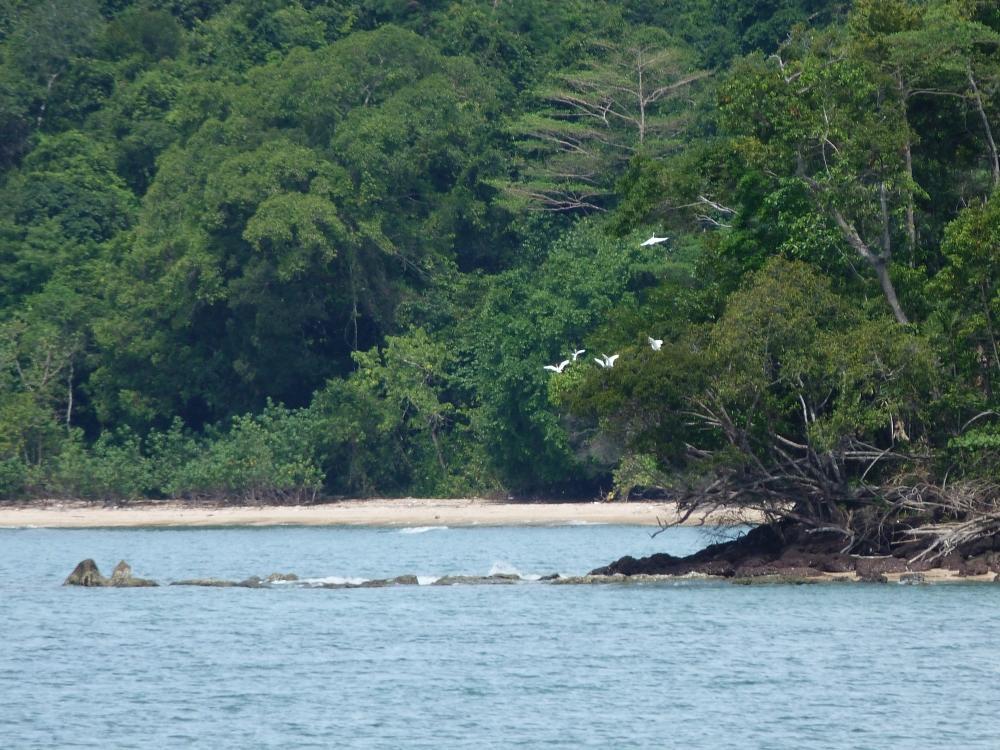 Koh Thmei Resort Phumi Kang Keng Buitenkant foto